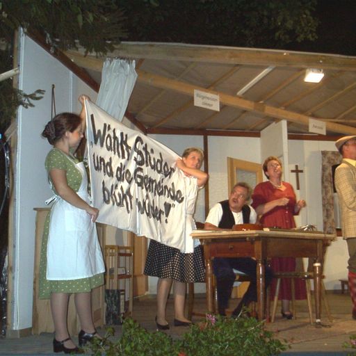 Die Wahllumpen – Bild 8